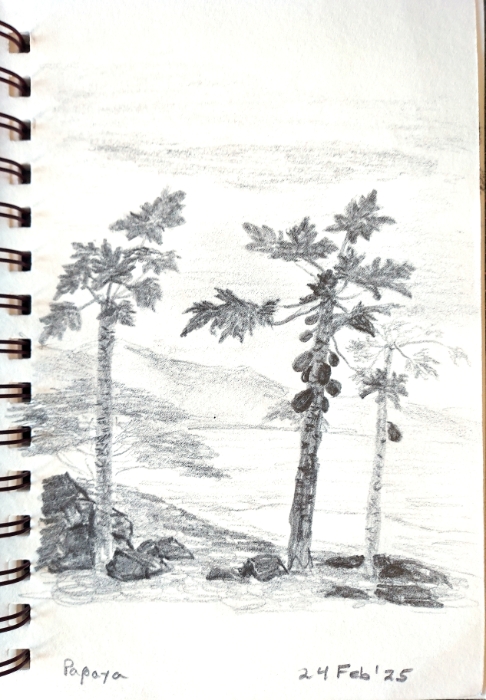 Next Picture